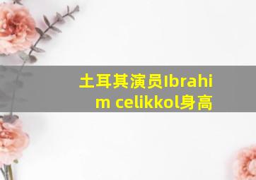 土耳其演员Ibrahim celikkol身高